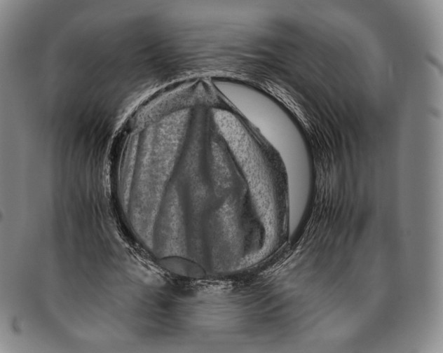X0000096480676200802211215