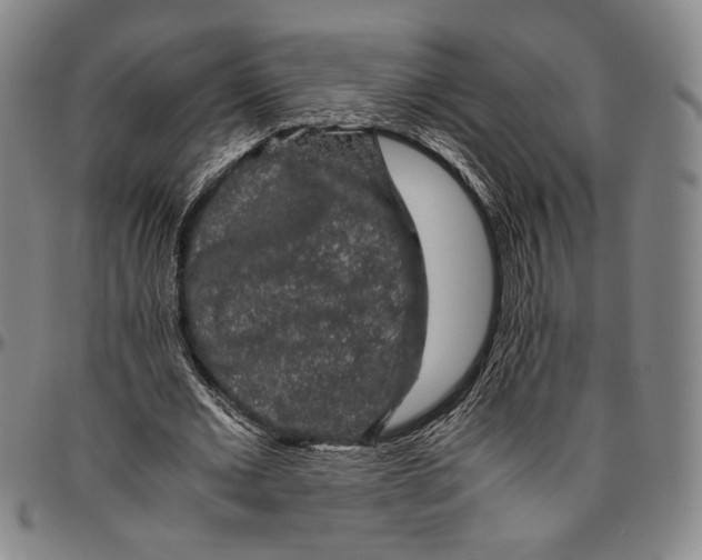 X0000096480677200802211215
