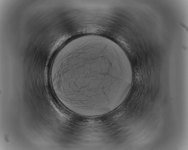 X0000096480678200802211215