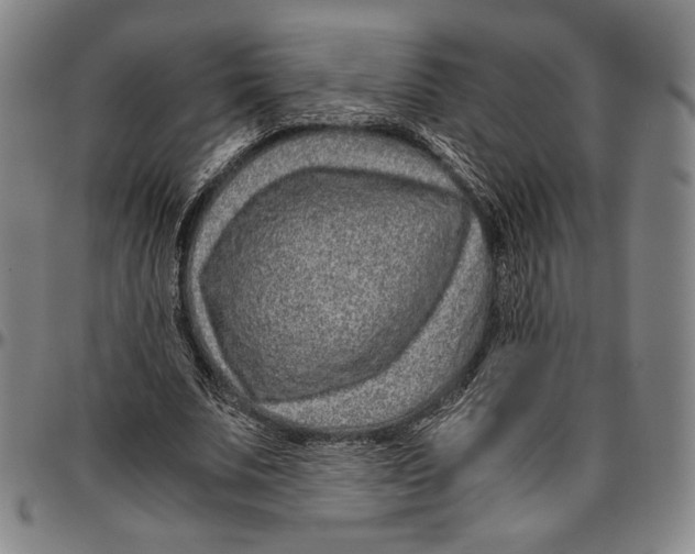 X0000096480679200802211215