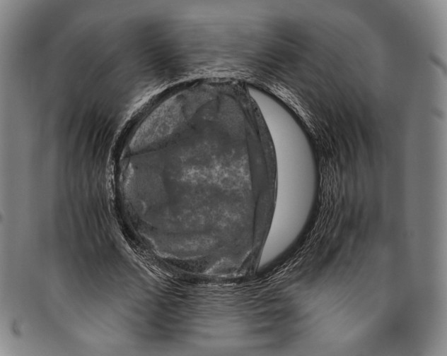 X0000096480680200802211215