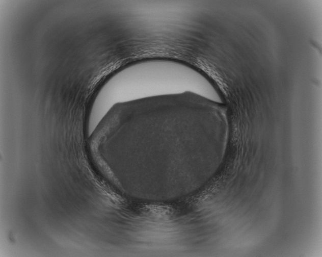 X0000096480681200802211215