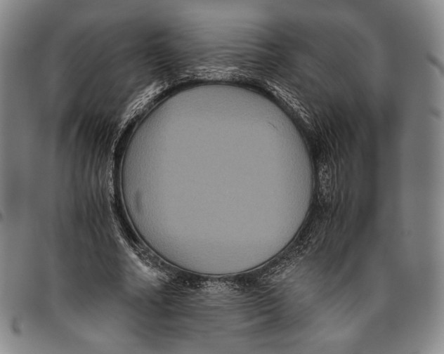X0000096480682200802211215