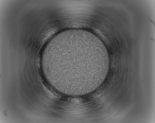 X0000096480683200802211215