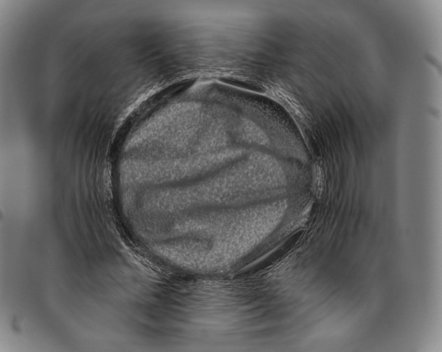 X0000096480684200802211215