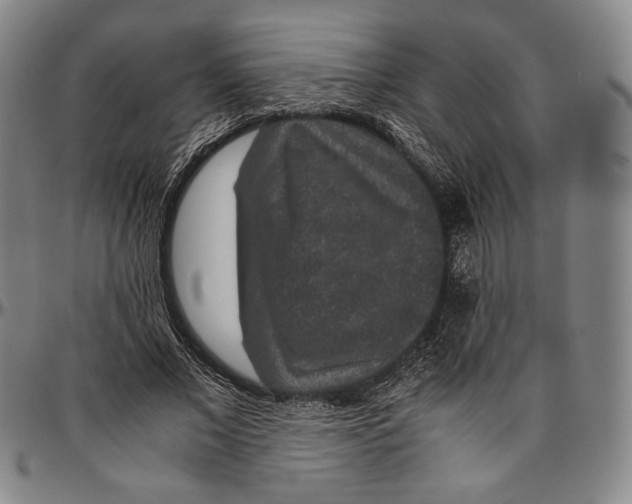 X0000096480685200802211215