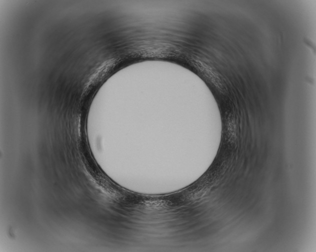 X0000096480686200802211215