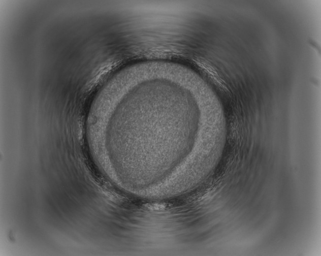 X0000096480687200802211215
