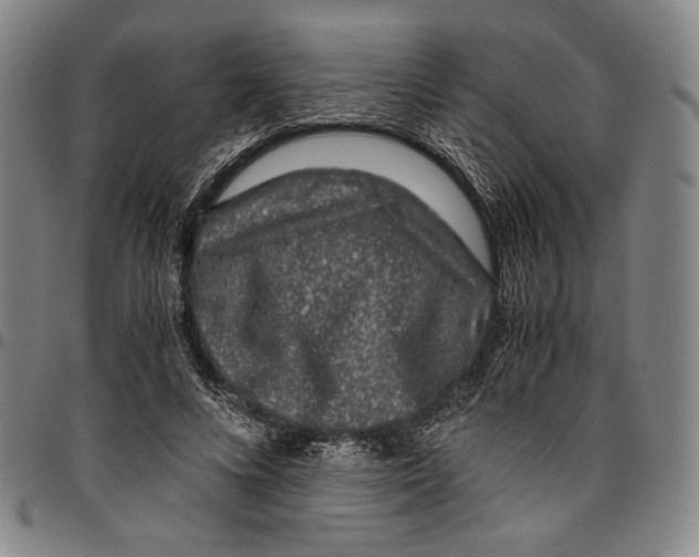 X0000096480688200802211215