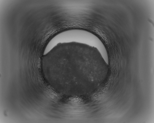 X0000096480689200802211215