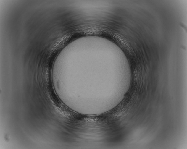 X0000096480690200802211215