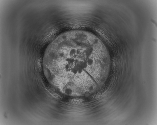 X0000096480691200802211215