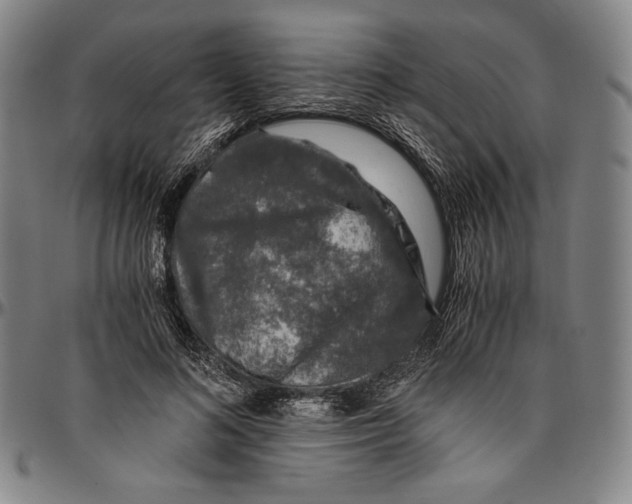 X0000096480692200802211215