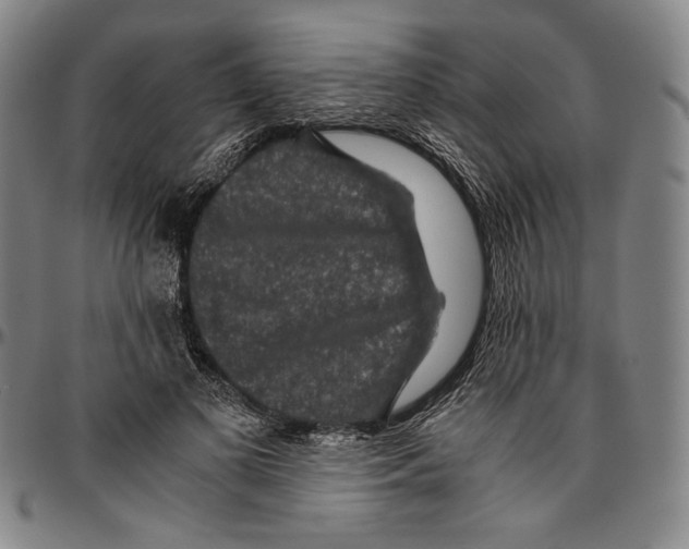 X0000096480693200802211214