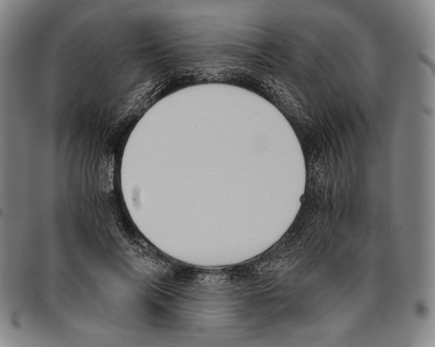 X0000096480694200802211214