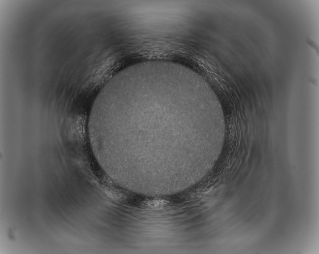 X0000096480695200802211214