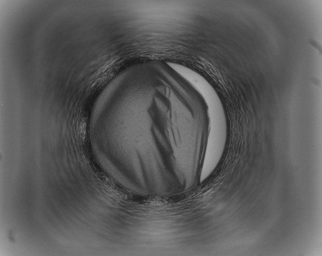 X0000096480697200802211214