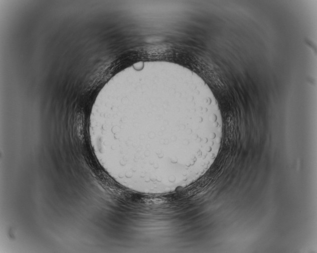 X0000096480698200802211214