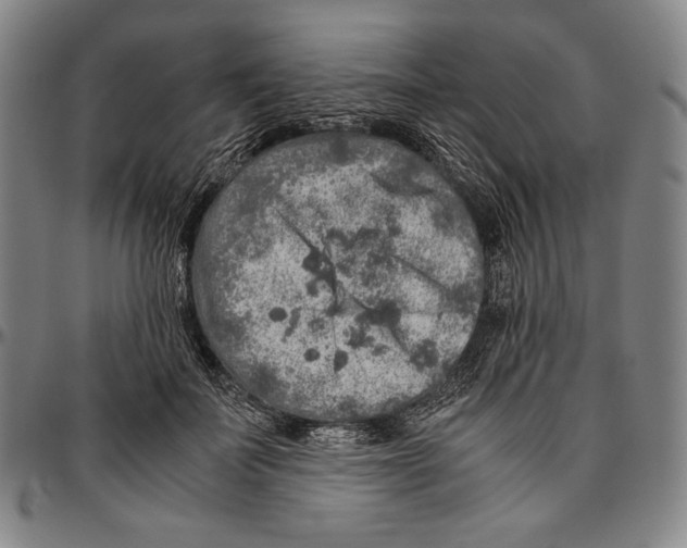 X0000096480699200802211214