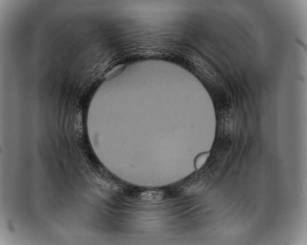 X0000096480700200802211214