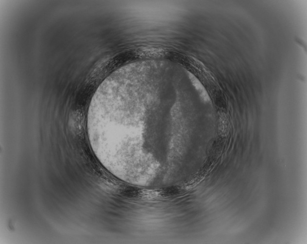 X0000096480701200802211214