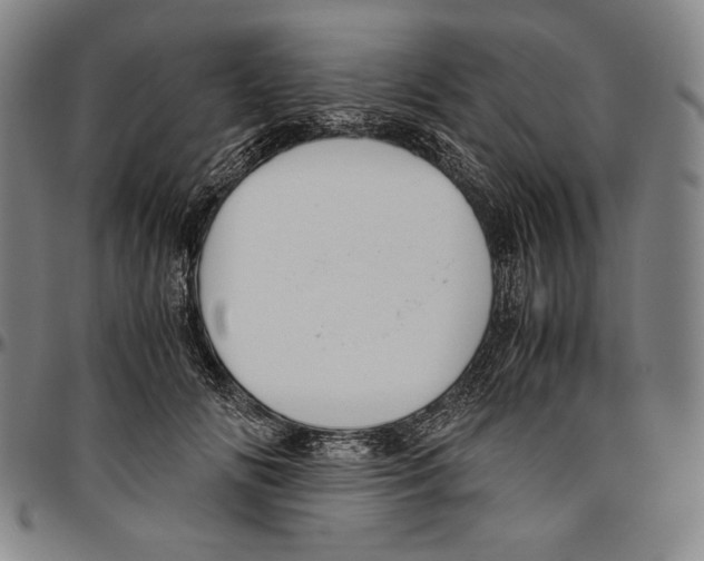 X0000096480702200802211214