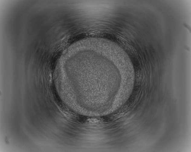 X0000096480703200802211214