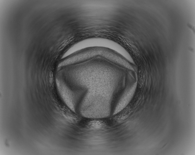 X0000096480704200802211214