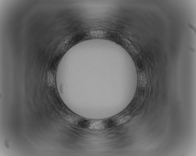 X0000096480705200802211214