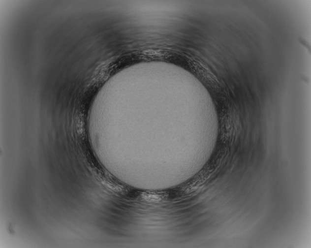 X0000096480706200802211214