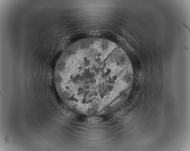 X0000096480707200802211214