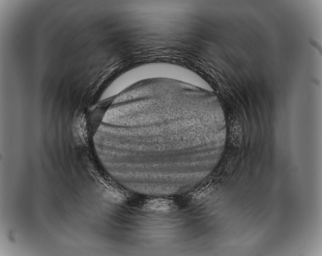 X0000096480708200802211214