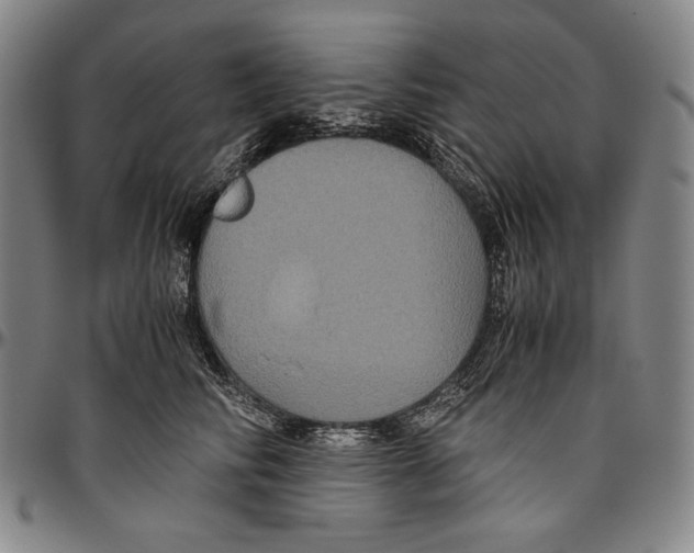X0000096480710200802211214