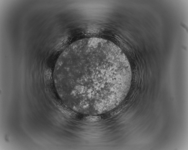 X0000096480711200802211214