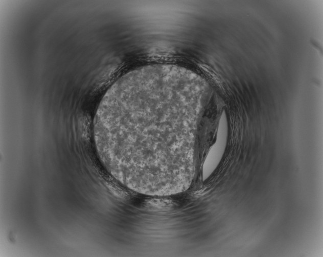 X0000096480712200802211214