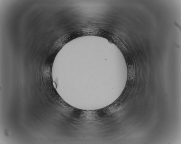 X0000096480713200802211214