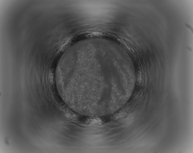 X0000096480715200802211214