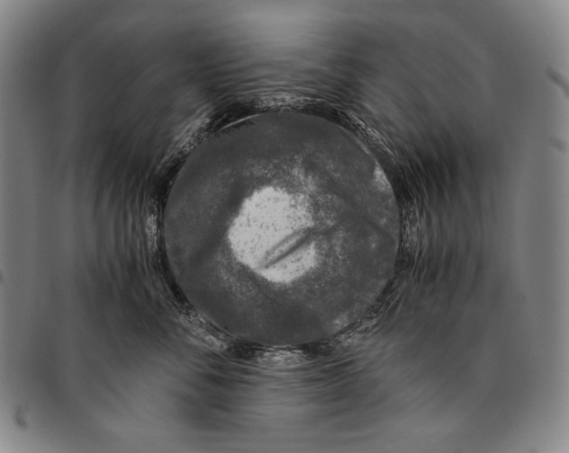 X0000096480716200802211214