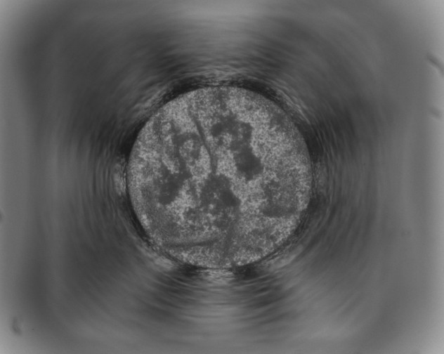 X0000096480719200802211214