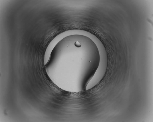 X0000096480720200802211214