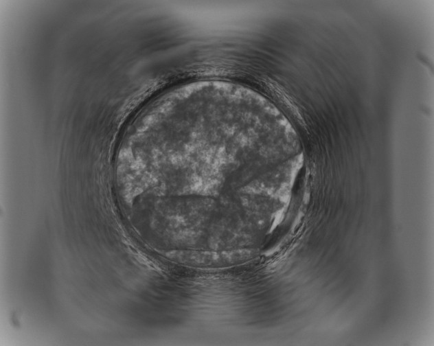 X0000096480721200802211213