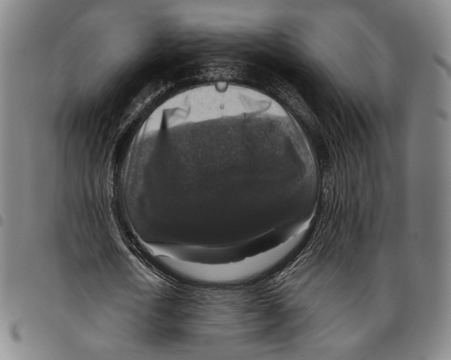 X0000096480722200802211213