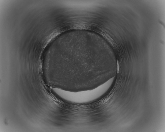 X0000096480723200802211213