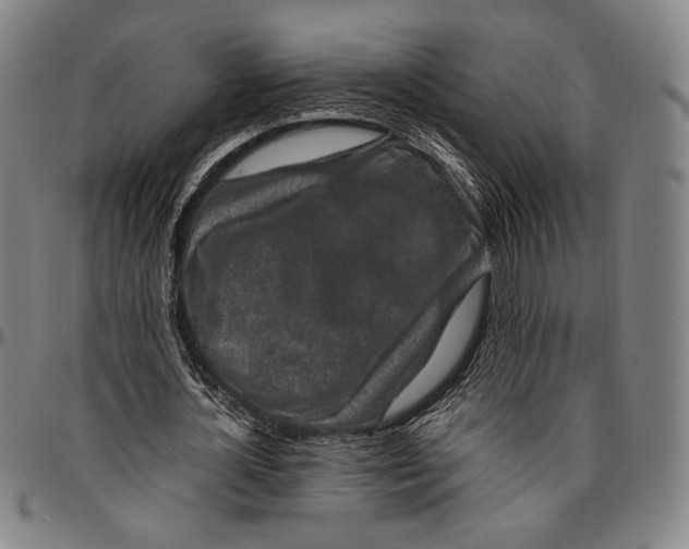 X0000096480724200802211213