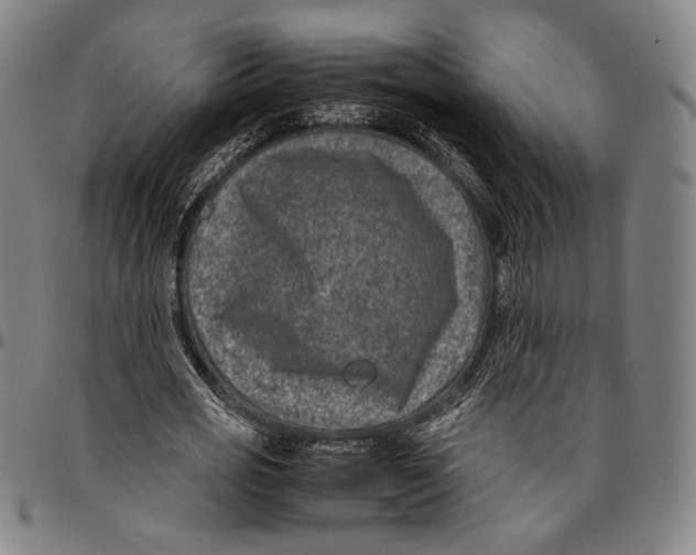 X0000096480725200802211213