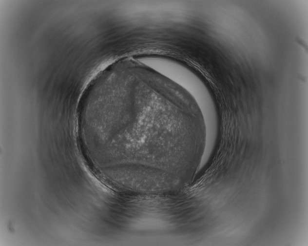 X0000096480726200802211213