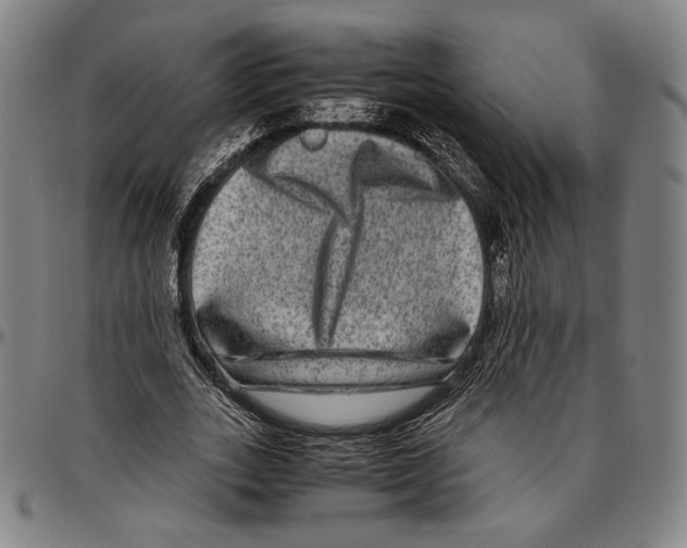 X0000096480727200802211213