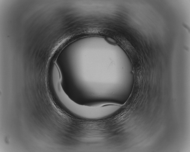 X0000096480728200802211213