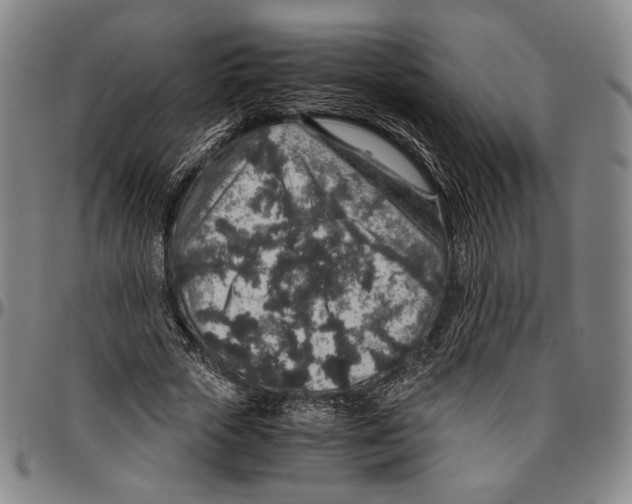 X0000096480729200802211213