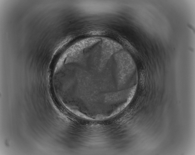 X0000096480730200802211213